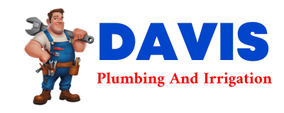 Trusted plumber in NORBORNE